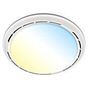 Briloner Ventilador de techo Dison (Blanco, Diámetro: 440 mm, Sin aspas) | BAUHAUS
