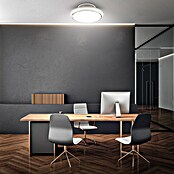 Briloner Ventilador de techo Dison (Blanco, Diámetro: 440 mm, Sin aspas) | BAUHAUS