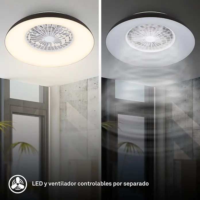 Briloner Ventilador de techo Windora - Blanco/Negro, 36 W, 60 cm, Blanco frío - Lámpara de techo redonda negra/blanca con ventilador integrado, con luz LED cálida/fría y ventilador en movimiento, controlables por separado.
