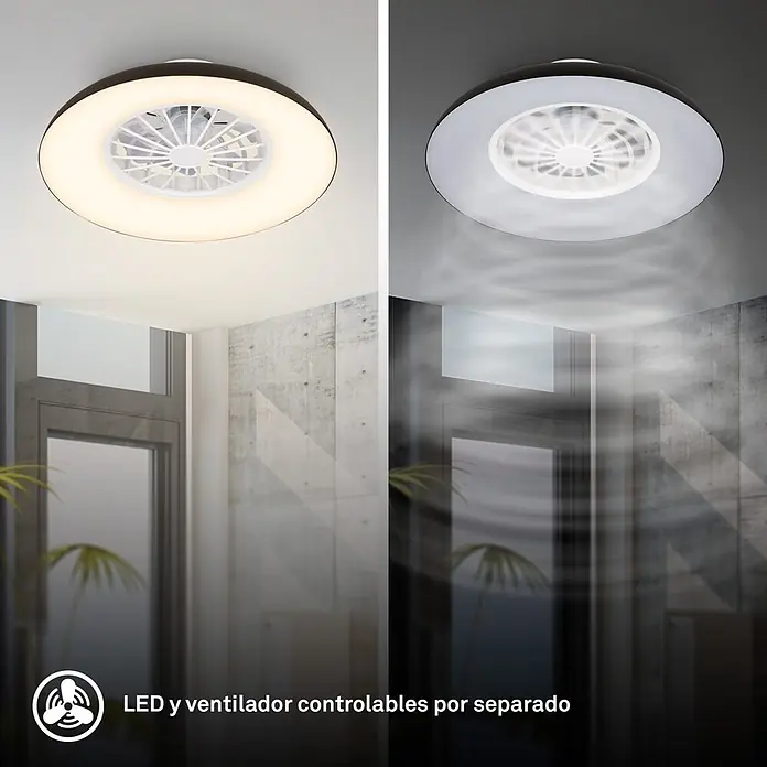 Briloner Ventilador de techo Windora - Blanco/Negro, 24 W, 48,5 cm, Blanco frío - Ventilador de techo LED redondo, marco oscuro, rejilla blanca. Muestra luz cálida/fría y circulación de aire de ventilador controlable por separado.