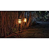 BAUHAUS Solarfakkel met grondpen Rotan (0,6 W, l x b x h: 11 x 11 x 49,5 cm, Grijs, IP44, 10 lm) | BAUHAUS