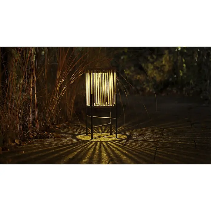 BAUHAUS Solar-Dekoleuchte Laterne - 0,06 W, L x B x H: 20 x 20 x 44 cm, Braun/ Anthrazit, IP44 - Zylindrische Outdoor-Laterne mit Lamellendesign, die warmes, gemustertes Licht auf einen Weg neben hohem Gras wirft.
