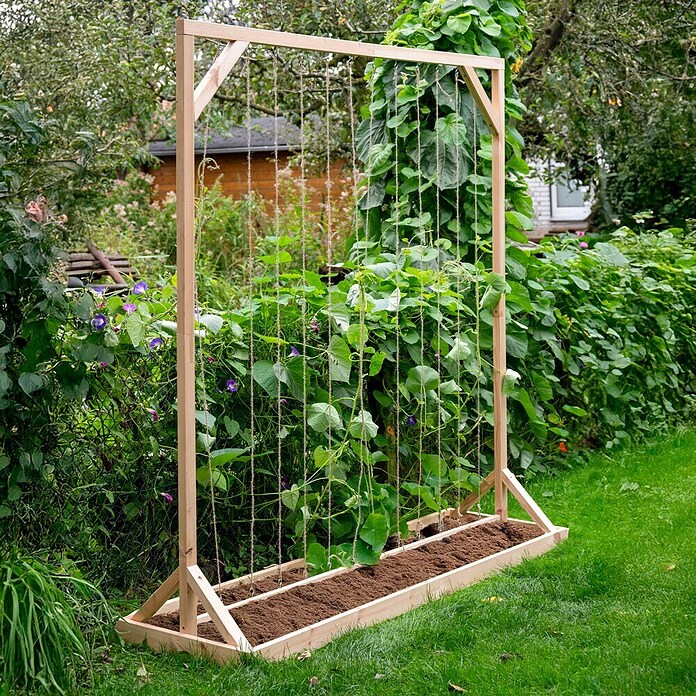 Dobar Tomaten-Rankgitter (L x B x H: 210 x 60 x 210 cm, Holz, Natur)