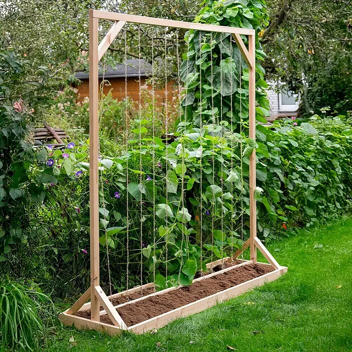 Dobar Tomaten-Rankgitter - L x B x H: 210 x 60 x 210 cm, Holz, Natur - Helles Holzspalier mit integriertem Pflanzkasten und Kletterseilen, das grüne Pflanzen im Garten stützt.