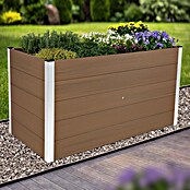Dobar Hochbeet (L x B x H: 150 x 75 x 75 cm, WPC, Hellbraun) | BAUHAUS
