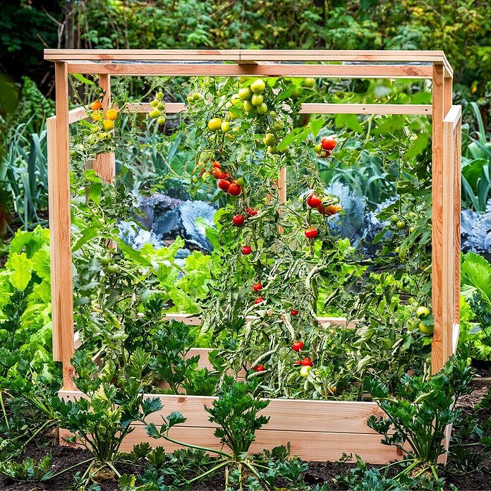 Dobar Tomatengewächshaus (L x B x H: 116 x 71 x 120 cm, Natur, Holz) | BAUHAUS