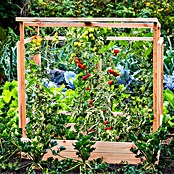 Dobar Tomatengewächshaus (L x B x H: 116 x 71 x 120 cm, Natur, Holz) | BAUHAUS