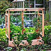 Dobar Tomatengewächshaus (L x B x H: 116 x 71 x 120 cm, Natur, Holz) | BAUHAUS