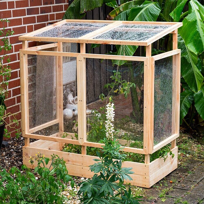 Dobar Tomatengewächshaus (L x B x H: 116 x 71 x 120 cm, Natur, Holz) | BAUHAUS