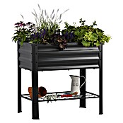 Dobar Hochbeet Kubus (L x B x H: 79 x 49 x 80 cm, Stahl, Anthrazit) | BAUHAUS