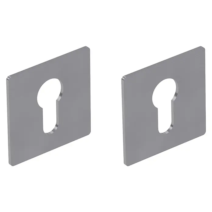 Diamond Doors Schlüsselschild - Profilzylinder, Edelstahl matt - Zwei silberne, gebürstete Metall-Schlüssellochblenden für Türschlösser.