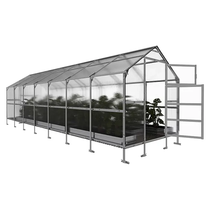 Klasika Greenhouses Gewächshaus Bernard Klasika - Außenmaß inkl. Dachüberstand (B x T): 235 x 700 cm, Material Seitenwand: Kunststoff, 4 mm, Silbergrau - Langes, modernes Gewächshaus mit silbernem Metallrahmen und durchsichtigen Wellplatten, offener Tür und Pflanzen innen.