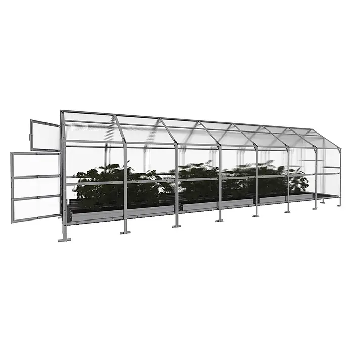Klasika Greenhouses Gewächshaus Bernard Klasika - Außenmaß inkl. Dachüberstand (B x T): 235 x 700 cm, Material Seitenwand: Kunststoff, 4 mm, Silbergrau - Ein Gewächshaus aus silbernem Metall und transparentem Polycarbonat mit offener Tür und grünen Pflanzen darin.