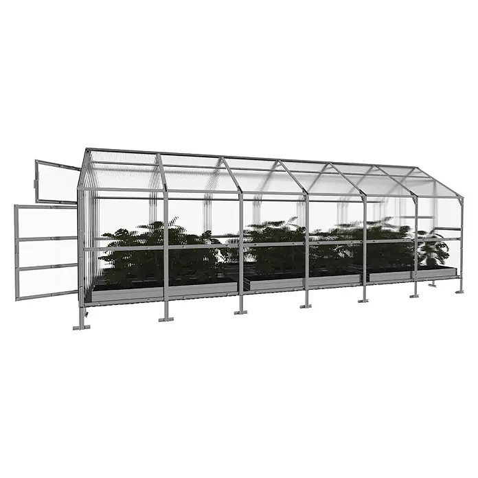 Klasika Greenhouses Gewächshaus Bernard Klasika - Außenmaß inkl. Dachüberstand (B x T): 235 x 600 cm, Material Seitenwand: Kunststoff, 4 mm, Silbergrau - Silbernes Gewächshaus mit Aluminiumrahmen, durchsichtigen Stegplatten, offener Tür, Dachluke und Pflanzen in Pflanzkästen.