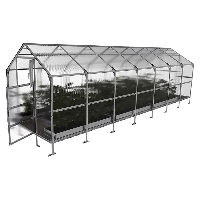 Klasika Greenhouses Gewächshaus Bernard Klasika - Außenmaß inkl. Dachüberstand (B x T): 235 x 700 cm, Material Seitenwand: Kunststoff, 6 mm, Silbergrau - Gewächshaus mit Metallrahmen und transparenten Paneelen, offener Tür und Pflanzen innen.