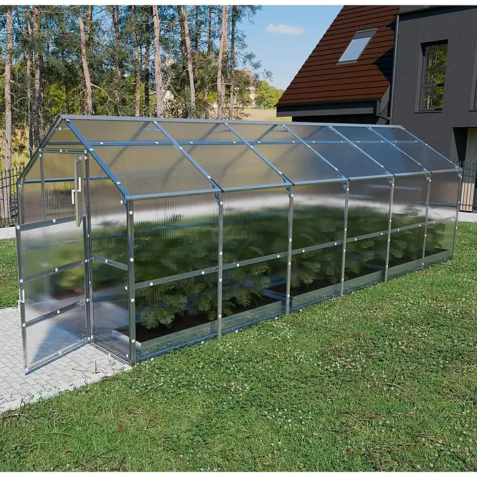 Klasika Greenhouses Gewächshaus Bernard Klasika - Außenmaß inkl. Dachüberstand (B x T): 235 x 600 cm, Material Seitenwand: Kunststoff, 4 mm, Silbergrau - Großes Polycarbonat-Gewächshaus mit grauem Aluminiumrahmen, gefüllt mit grünen Pflanzen, in einem Garten neben einem modernen Haus.