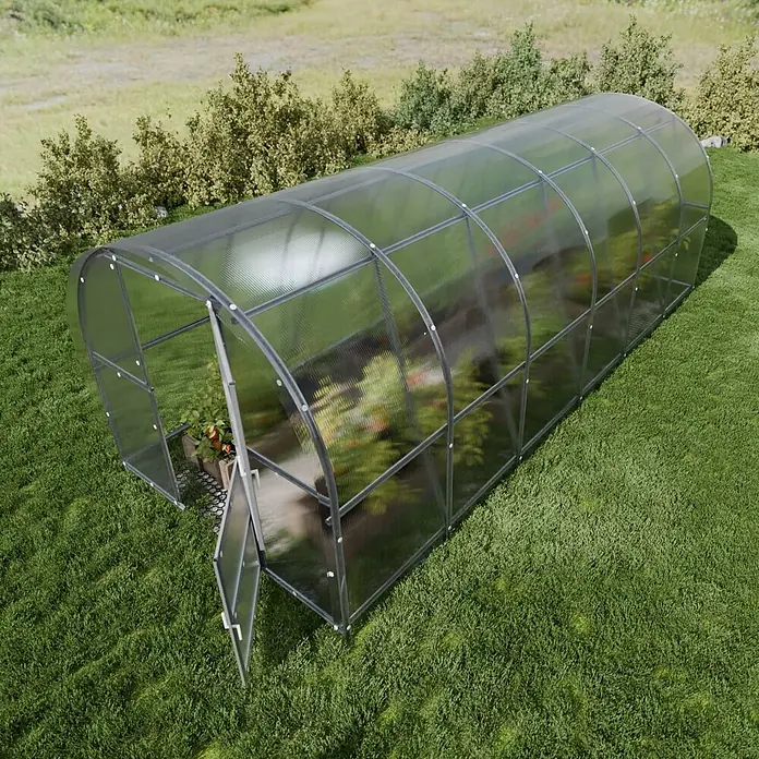 Klasika Greenhouses Gewächshaus Baltic Lt Klasika - Außenmaß inkl. Dachüberstand (B x T): 300 x 600 cm, Material Seitenwand: Kunststoff, 4 mm, Silbergrau - Langes Tunnelgewächshaus mit transparenten Polycarbonatplatten und grauem Rahmen, Tür offen, Pflanzen sichtbar.