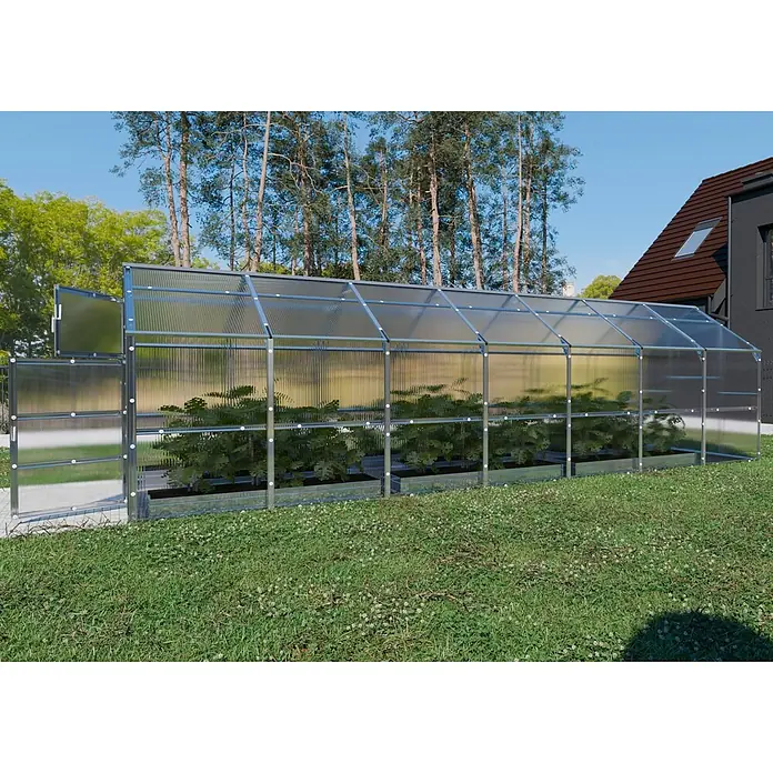 Klasika Greenhouses Gewächshaus Bernard Klasika - Außenmaß inkl. Dachüberstand (B x T): 235 x 700 cm, Material Seitenwand: Kunststoff, 4 mm, Silbergrau - Aluminium-Gewächshaus mit klaren, gewellten Polycarbonatplatten, Pflanzen in einem Garten.