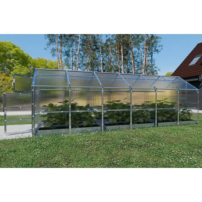 Klasika Greenhouses Gewächshaus Bernard Klasika - Außenmaß inkl. Dachüberstand (B x T): 235 x 600 cm, Material Seitenwand: Kunststoff, 4 mm, Silbergrau - Langes Gewächshaus mit Metallrahmen und klaren Polycarbonatplatten, mit Pflanzen.