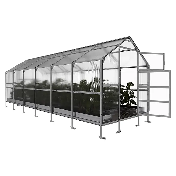 Klasika Greenhouses Gewächshaus Bernard Klasika - Außenmaß inkl. Dachüberstand (B x T): 235 x 600 cm, Material Seitenwand: Kunststoff, 4 mm, Silbergrau - Ein langes, modernes Gewächshaus mit transparenten Wellplatten und grauem Metallrahmen, das mehrere Pflanzen beherbergt. Die Eingangstür ist offen.