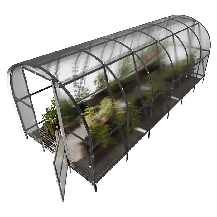 Klasika Greenhouses Gewächshaus Baltic Lt Klasika - Außenmaß inkl. Dachüberstand (B x T): 300 x 600 cm, Material Seitenwand: Kunststoff, 4 mm, Silbergrau - Gebogenes Tunnelgewächshaus mit dunklem Rahmen und transparenten Paneelen, mit offener Tür und Pflanzen darin.