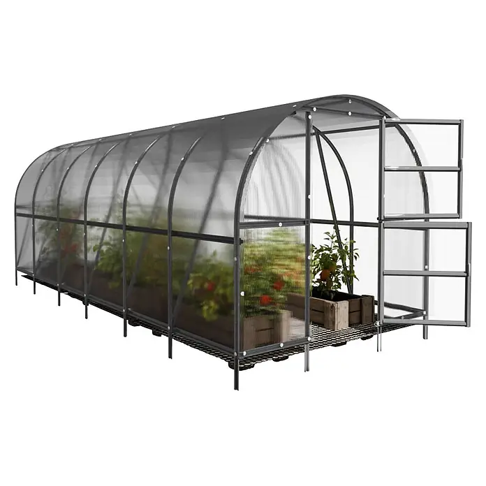 Klasika Greenhouses Gewächshaus Baltic Lt Klasika - Außenmaß inkl. Dachüberstand (B x T): 300 x 600 cm, Material Seitenwand: Kunststoff, 4 mm, Silbergrau - Tunnelgewächshaus aus transparentem Polycarbonat mit dunklem Rahmen, Pflanzen enthaltend, mit offener Tür und Lüftungsklappen.