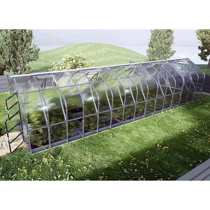 Klasika Greenhouses Gewächshaus Standart Klasika - Außenmaß inkl. Dachüberstand (B x T): 250 x 1.000 cm, Material Seitenwand: Kunststoff, 6 mm, Silbergrau - Großes Tunnelgewächshaus mit transparenten Paneelen und grauem Rahmen, Belüftungsfenstern und Tür, in einem Garten mit Pflanzen.