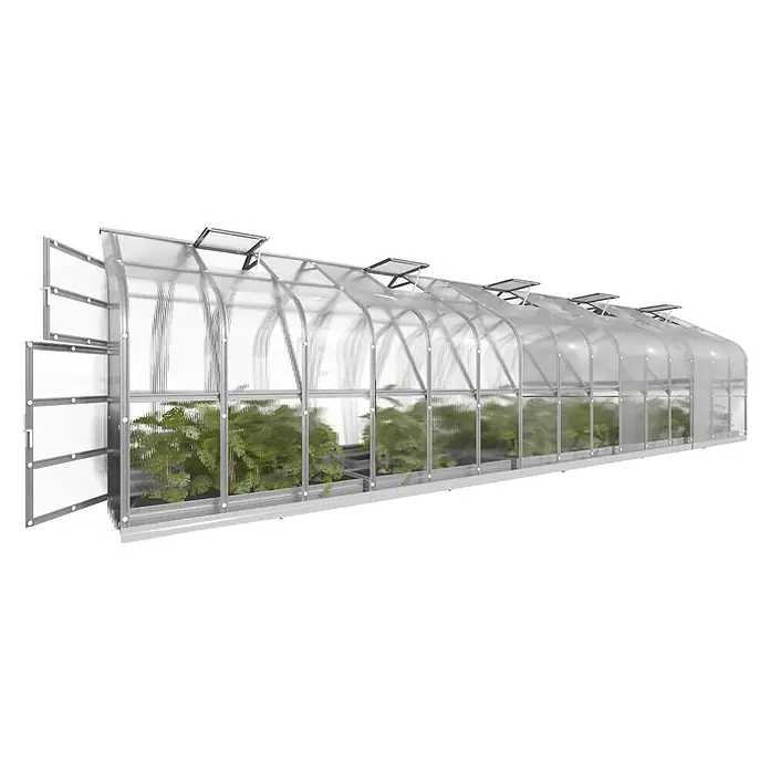 Klasika Greenhouses Gewächshaus Standart Klasika - Außenmaß inkl. Dachüberstand (B x T): 250 x 1.000 cm, Material Seitenwand: Kunststoff, 6 mm, Silbergrau - Längliches Gewächshaus mit silbernem Rahmen, transparenten Platten, geöffneter Tür, mehreren offenen Dachlüftern und grünen Pflanzen.