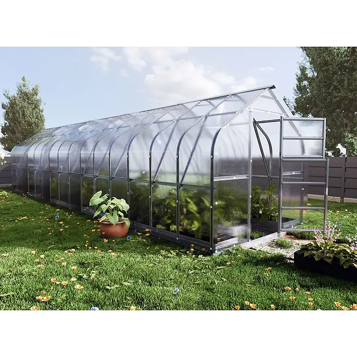 Klasika Greenhouses Gewächshaus Standart Klasika - Außenmaß inkl. Dachüberstand (B x T): 250 x 1.000 cm, Material Seitenwand: Kunststoff, 6 mm, Silbergrau - Großes, transparentes Gewächshaus mit Bogenform und offener Tür in einem grünen Garten mit Pflanzen.
