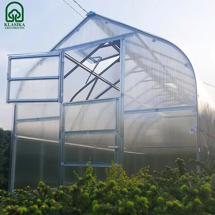 Klasika Greenhouses Gewächshaus Standart Klasika - Außenmaß inkl. Dachüberstand (B x T): 250 x 400 cm, Material Seitenwand: Kunststoff, 6 mm, Silbergrau - Großes Gewächshaus aus lichtdurchlässigen Wellplatten und Metallrahmen, mit geöffneter Front- und Dachluke, umgeben von grünen Pflanzen.
