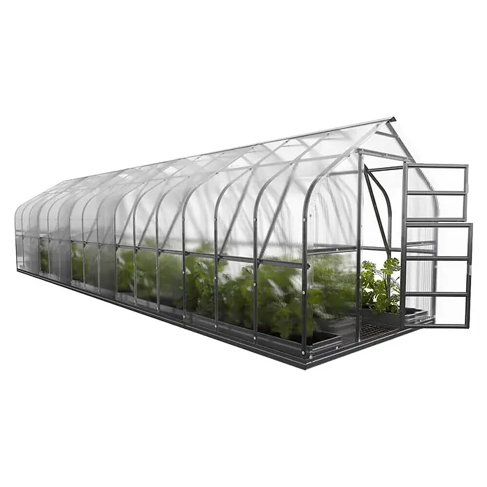 Klasika Greenhouses Gewächshaus Standart Klasika - Außenmaß inkl. Dachüberstand (B x T): 250 x 1.000 cm, Material Seitenwand: Kunststoff, 6 mm, Silbergrau - Langes Tunnel-Gewächshaus mit transparenten Paneelen und dunklem Metallrahmen, zeigt grüne Pflanzen und ein offenes Lüftungsfenster.