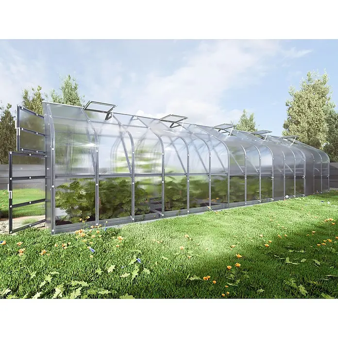 Klasika Greenhouses Gewächshaus Standart Klasika - Außenmaß inkl. Dachüberstand (B x T): 250 x 1.000 cm, Material Seitenwand: Kunststoff, 6 mm, Silbergrau - Gewölbtes Gewächshaus aus transparenten Platten mit Metallrahmen und Dachluken, gefüllt mit grünen Pflanzen im Garten.