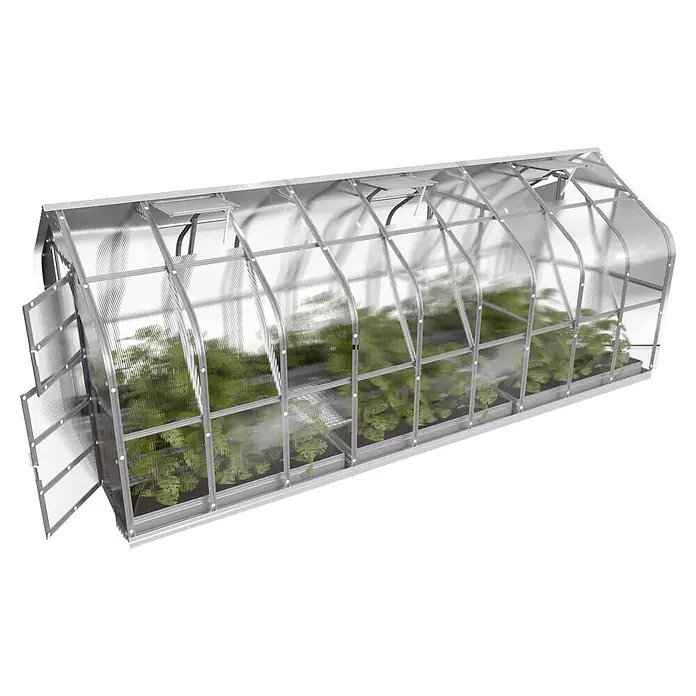 Klasika Greenhouses Gewächshaus Standart Klasika - Außenmaß inkl. Dachüberstand (B x T): 250 x 600 cm, Material Seitenwand: Kunststoff, 4 mm, Silbergrau - Langes, transparentes Gewächshaus mit silbernem Rahmen, offener Tür und Dachluken, bepflanzt.