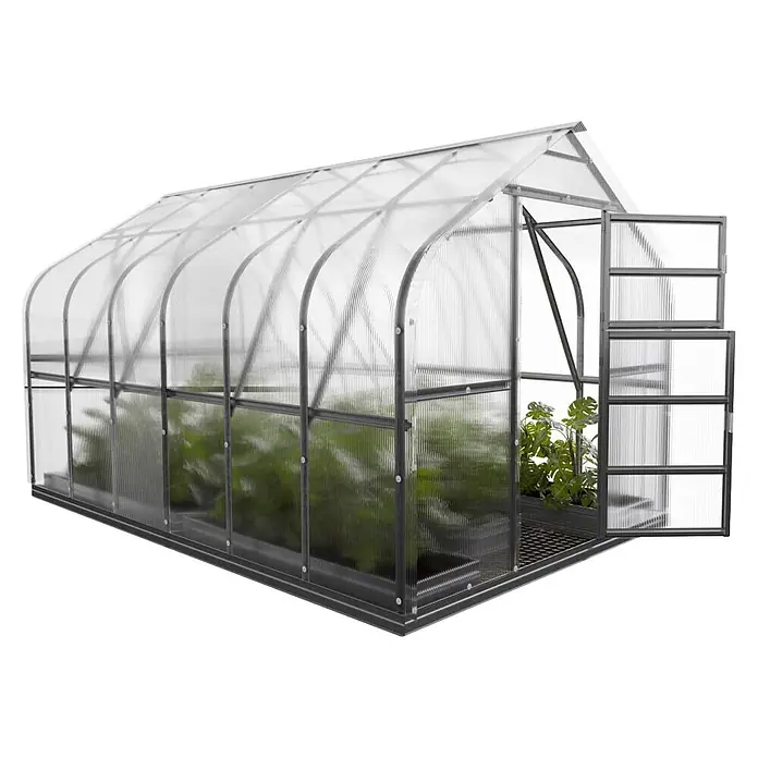 Klasika Greenhouses Gewächshaus Standart Klasika - Außenmaß inkl. Dachüberstand (B x T): 250 x 400 cm, Material Seitenwand: Kunststoff, 6 mm, Silbergrau - Gewächshaus mit transparenten Wellplatten und dunklem Metallrahmen, mit Pflanzen und offener Lüftungstür.