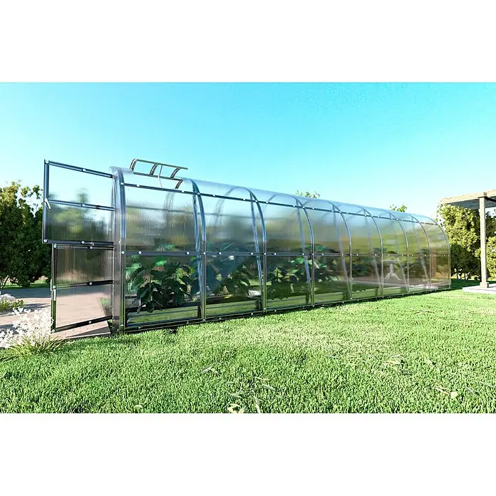 Klasika Greenhouses Gewächshaus Slim Klasika - Außenmaß inkl. Dachüberstand (B x T): 200 x 800 cm, Material Seitenwand: Kunststoff, 6 mm, SIlbergrau - Langes, gewölbtes Gewächshaus mit transparenten Wellplatten und dunklem Rahmen, gefüllt mit grünen Pflanzen im Garten.