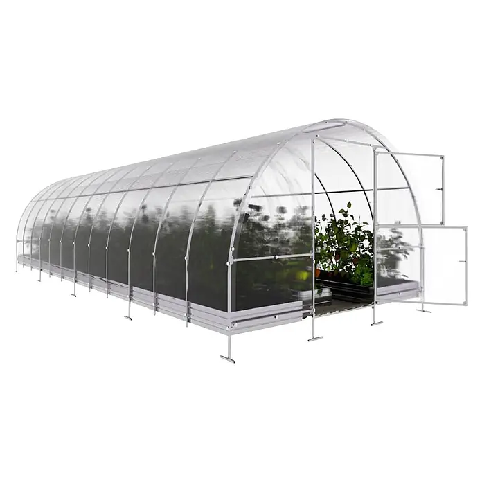 Klasika Greenhouses Gewächshaus Easy Klasika - Außenmaß inkl. Dachüberstand (B x T): 300 x 800 cm, Material Seitenwand: Kunststoff, 4 mm, Silbergrau - Gewölbtes Polycarbonat-Gewächshaus mit weißem Metallrahmen, enthält Pflanzen und offene Türen.