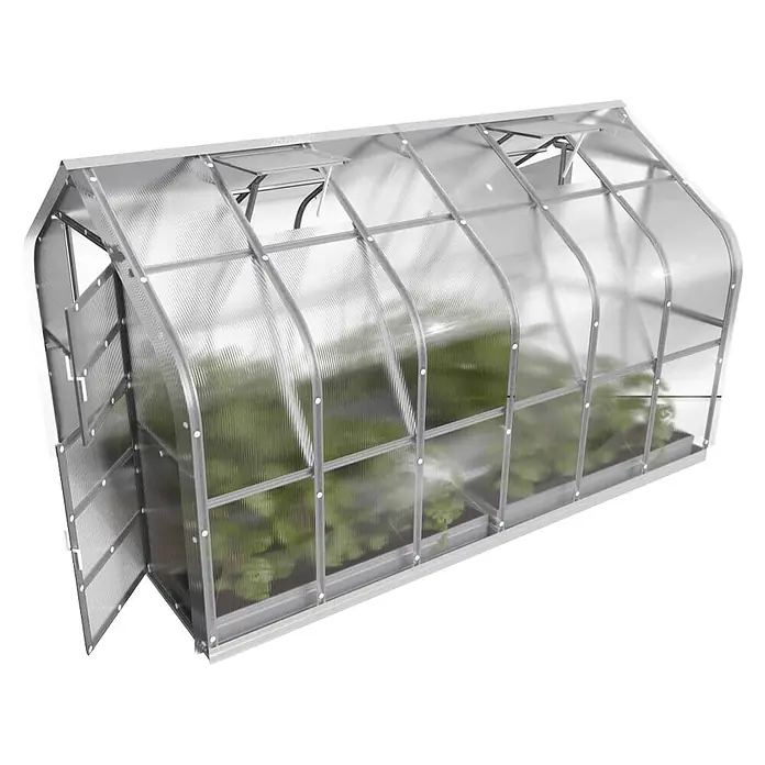 Klasika Greenhouses Gewächshaus Standart Klasika - Außenmaß inkl. Dachüberstand (B x T): 250 x 400 cm, Material Seitenwand: Kunststoff, 6 mm, Silbergrau - Gewächshaus mit silbernem Rahmen aus Polycarbonat, innen Pflanzen sichtbar, mit offener Tür und Dachluke.