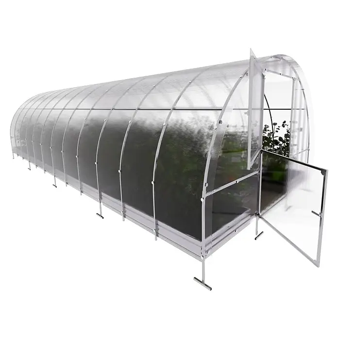 Klasika Greenhouses Gewächshaus Easy Klasika - Außenmaß inkl. Dachüberstand (B x T): 300 x 800 cm, Material Seitenwand: Kunststoff, 4 mm, Silbergrau - Gewölbtes Gewächshaus mit transparenten Platten und weißem Metallrahmen, offene Tür, Pflanzen im Inneren.