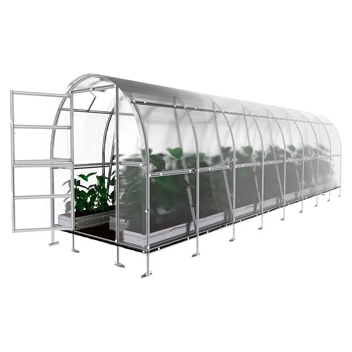 Klasika Greenhouses Gewächshaus Slim Klasika - Außenmaß inkl. Dachüberstand (B x T): 200 x 800 cm, Material Seitenwand: Kunststoff, 6 mm, SIlbergrau - Großes Bogengewächshaus mit transparenten Paneelen und silbernem Metallrahmen, offener Tür und Pflanzen.