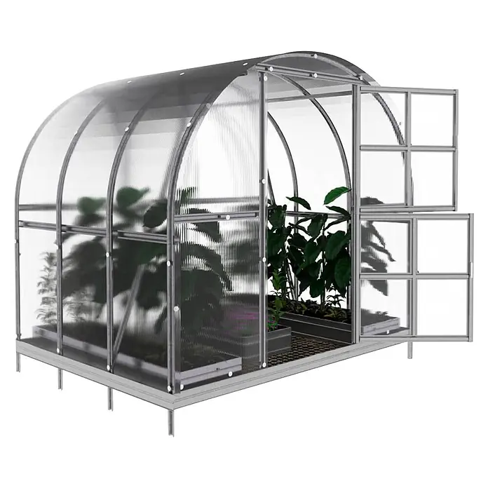 Klasika Greenhouses Gewächshaus Arch Klasika - Außenmaß inkl. Dachüberstand (B x T): 300 x 200 cm, Material Seitenwand: Kunststoff, 6 mm, Silbergrau - Modernes Gewächshaus mit transparenten Paneelen und silbernem Rahmen, Pflanzen im Inneren und einem offenen Lüftungsfenster.