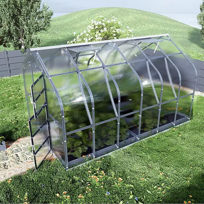 Klasika Greenhouses Gewächshaus Standart Klasika - Außenmaß inkl. Dachüberstand (B x T): 250 x 400 cm, Material Seitenwand: Kunststoff, 6 mm, Silbergrau - Geschwungenes transparentes Gewächshaus mit grauem Rahmen in einem sonnigen Garten mit Pflanzen. Die Tür ist geöffnet.