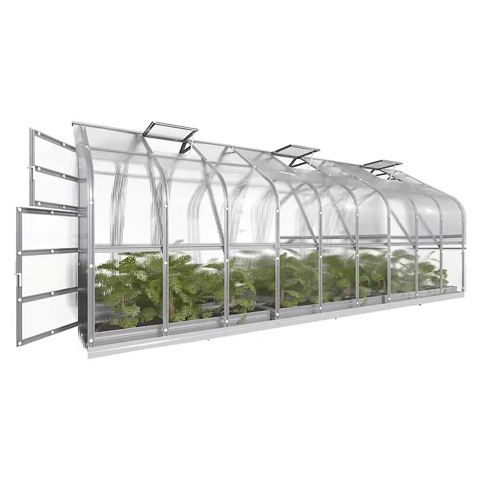 Klasika Greenhouses Gewächshaus Standart Klasika - Außenmaß inkl. Dachüberstand (B x T): 250 x 600 cm, Material Seitenwand: Kunststoff, 4 mm, Silbergrau - Gewölbtes Gewächshaus mit transparenten Platten, silbernem Rahmen, Dachlüftern und offener Seitentür, gefüllt mit grünen Pflanzen.