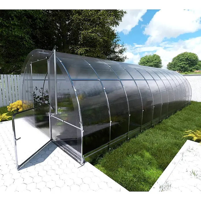 Klasika Greenhouses Gewächshaus Easy Klasika - Außenmaß inkl. Dachüberstand (B x T): 300 x 800 cm, Material Seitenwand: Kunststoff, 4 mm, Silbergrau - Gewölbtes Tunnelgewächshaus aus transparenten Polycarbonatplatten und Metallrahmen. Geöffnete Tür zeigt Pflanzen.