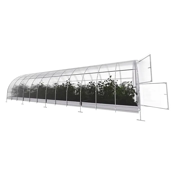 Klasika Greenhouses Gewächshaus Easy Klasika - Außenmaß inkl. Dachüberstand (B x T): 300 x 800 cm, Material Seitenwand: Kunststoff, 4 mm, Silbergrau - Langes, gewölbtes transparentes Gewächshaus mit Metallrahmen und grünen Pflanzen. Die Endpaneele sind offen.