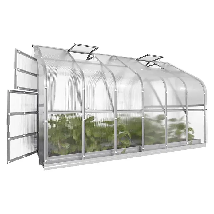 Klasika Greenhouses Gewächshaus Standart Klasika - Außenmaß inkl. Dachüberstand (B x T): 250 x 400 cm, Material Seitenwand: Kunststoff, 6 mm, Silbergrau - Gewächshaus aus Polycarbonat mit Silberrahmen, offener Tür und Dachluken, mit grünen Pflanzen darin.