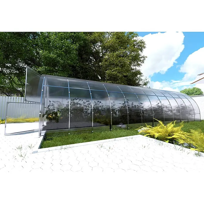 Klasika Greenhouses Gewächshaus Easy Klasika - Außenmaß inkl. Dachüberstand (B x T): 300 x 800 cm, Material Seitenwand: Kunststoff, 4 mm, Silbergrau - Großes Polycarbonat-Gewächshaus im Garten mit offener Tür und Pflanzen darin.