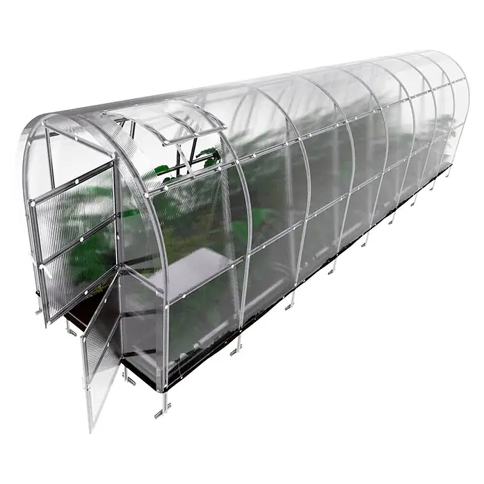 Klasika Greenhouses Gewächshaus Slim Klasika - Außenmaß inkl. Dachüberstand (B x T): 200 x 800 cm, Material Seitenwand: Kunststoff, 6 mm, SIlbergrau - Transparentes, gewölbtes Gewächshaus mit silbernem Rahmen, offener Tür und Dachluke, Pflanzen sichtbar.