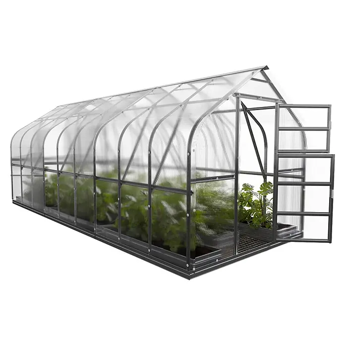 Klasika Greenhouses Gewächshaus Standart Klasika - Außenmaß inkl. Dachüberstand (B x T): 250 x 600 cm, Material Seitenwand: Kunststoff, 4 mm, Silbergrau - Großes transparentes Polycarbonat-Gewächshaus mit dunklem Rahmen, offener Tür und Pflanzen darin.