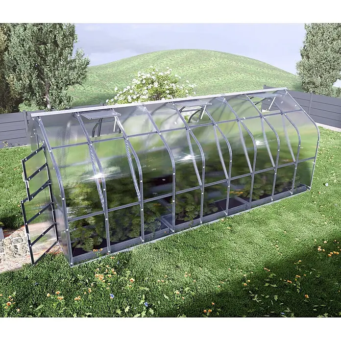 Klasika Greenhouses Gewächshaus Standart Klasika - Außenmaß inkl. Dachüberstand (B x T): 250 x 600 cm, Material Seitenwand: Kunststoff, 4 mm, Silbergrau - Großes transparentes Polycarbonat-Gewächshaus mit silbernem Metallrahmen im Garten, Tür offen, Pflanzen innen.