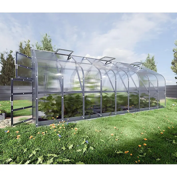 Klasika Greenhouses Gewächshaus Standart Klasika - Außenmaß inkl. Dachüberstand (B x T): 250 x 600 cm, Material Seitenwand: Kunststoff, 4 mm, Silbergrau - Großes, gewölbtes Polycarbonat-Gewächshaus mit grauem Rahmen und geöffneten Lüftungsluken im sonnigen Garten.